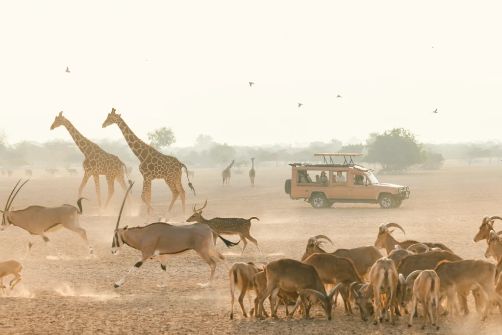 Sir Bani Yas Island