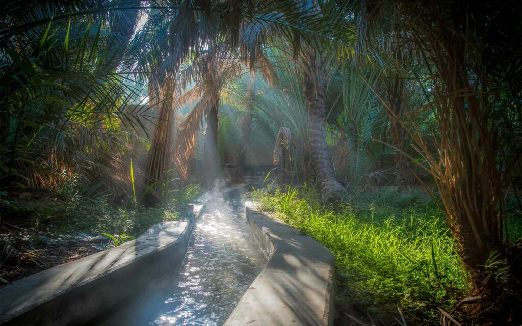 Al AIn Oasis
