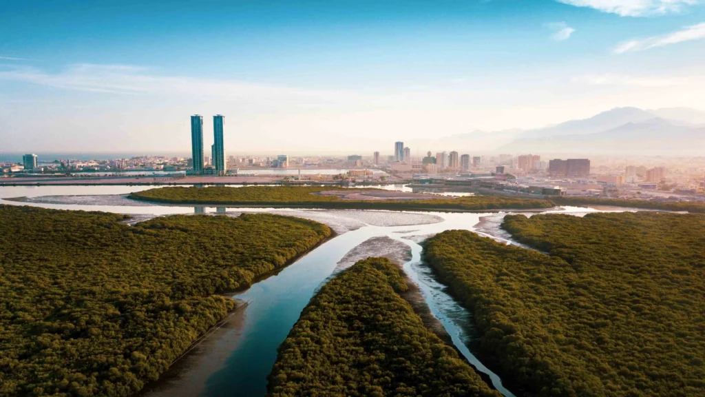 ras al khaimah tours in UAE