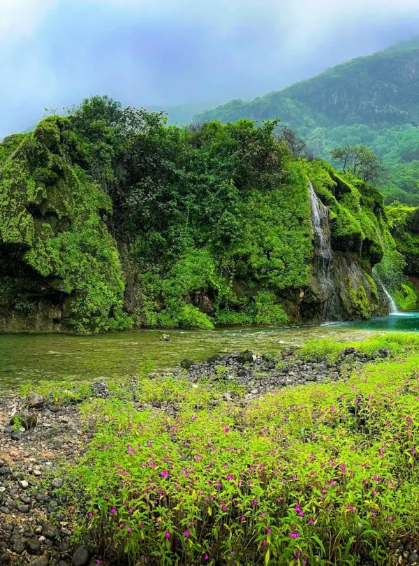 salalah oman tour package with tamara or tabby