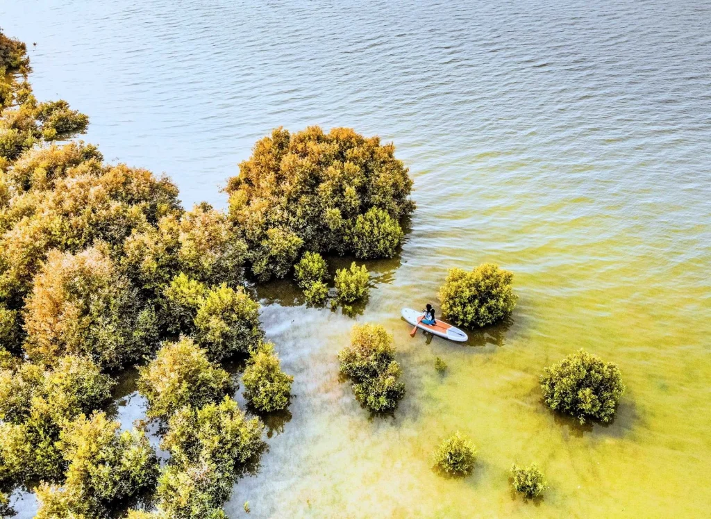 Countries in UAE | 7 Emirates of UAE 6 Umm Al Quwain